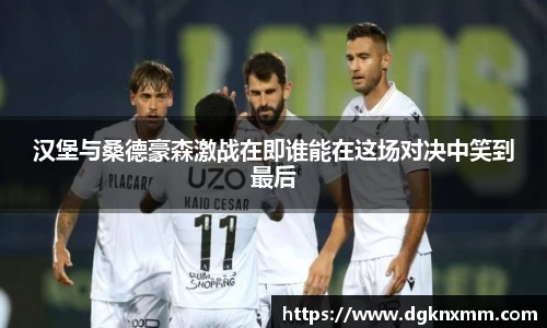 汉堡与桑德豪森激战在即谁能在这场对决中笑到最后